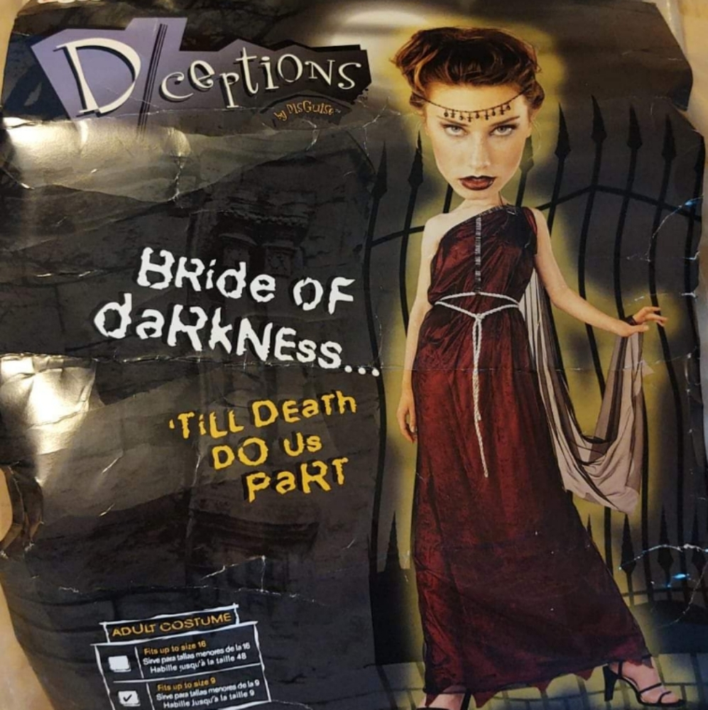 Halloween Bride of Darkness Adult Costume